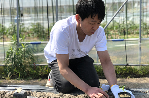 柚子唐辛子ができるまで